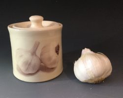 Georgia Donnelly Studio